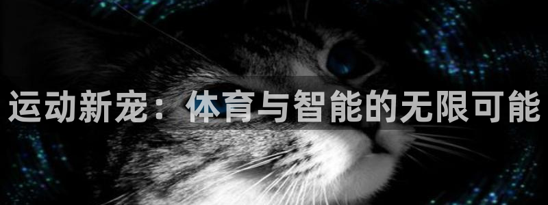 运动新宠：体育与智能的无限可能