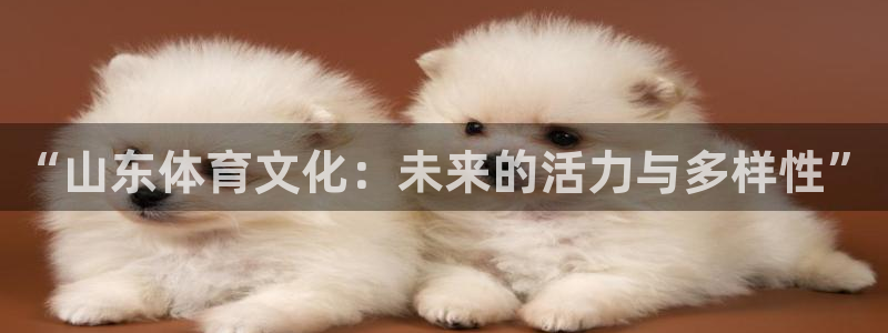 “山东体育文化：未来的活力与多样性”