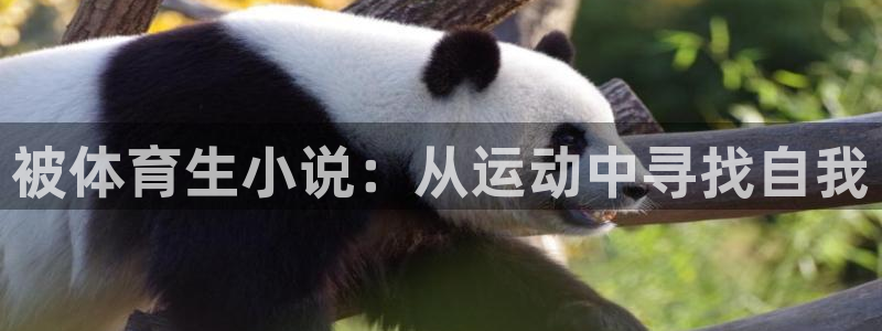 被体育生小说：从运动中寻找自我