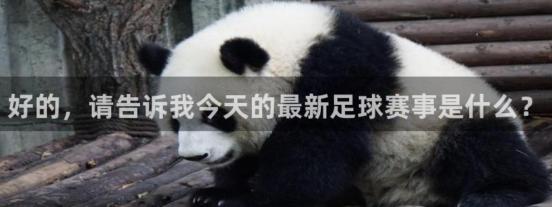 好的，请告诉我今天的最新足球赛事是什么？