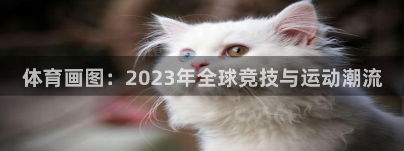 体育画图：2023年全球竞技与运动潮流