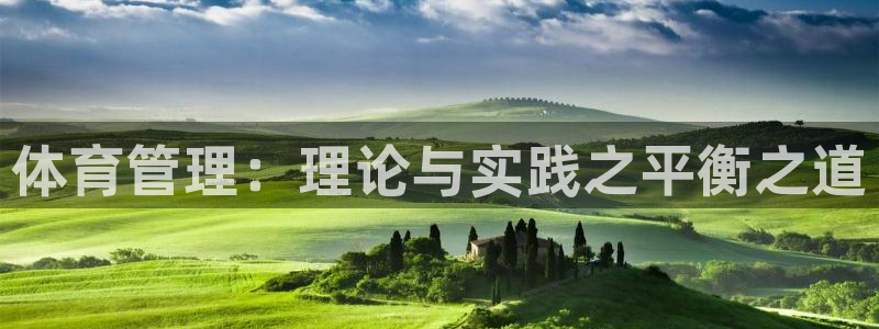 体育管理：理论与实践之平衡之道