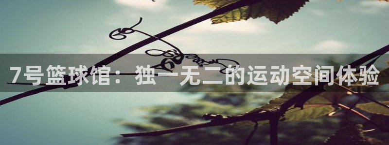 7号篮球馆：独一无二的运动空间体验