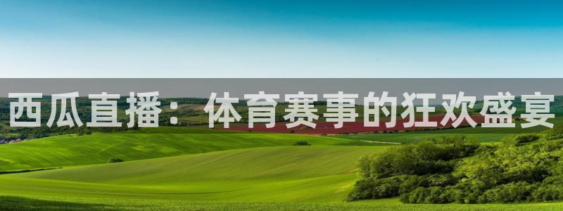 杏宇2登录入口：西瓜直播：体育赛事的狂欢盛宴