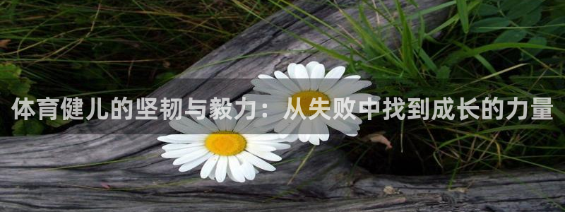 杏宇3注册：体育健儿的坚韧与毅力：从失败中找到成长的力量