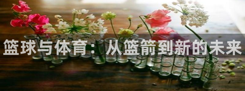 杏宇平台：篮球与体育：从篮箭到新的未来