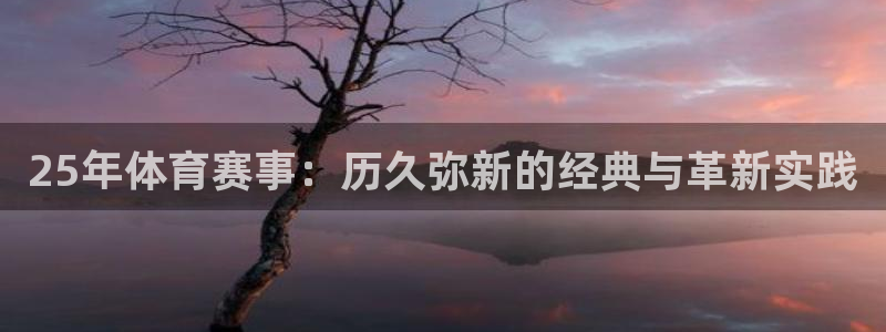 杏宇体育游戏：25年体育赛事：历久弥新的经典与革新实践