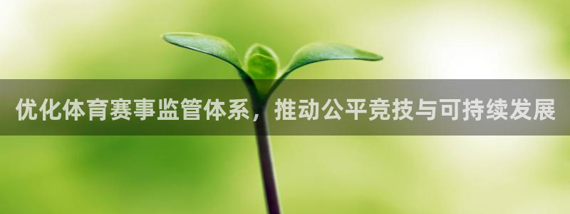 安徽京杏宇建材有限公司：优化体育赛事监管体系，推动公平竞技与可持续发展