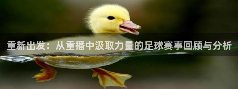 杏宇平台注册：重新出发：从重播中汲取力量的足球赛事回顾与分析