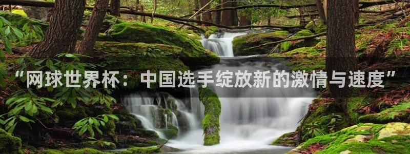 杏宇体育游戏：“网球世界杯：中国选手绽放新的激情与速度”