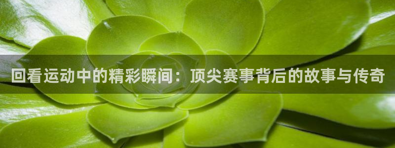 汾阳杏宇酒业有限公司：回看运动中的精彩瞬间：顶尖赛事背后的故事与传奇